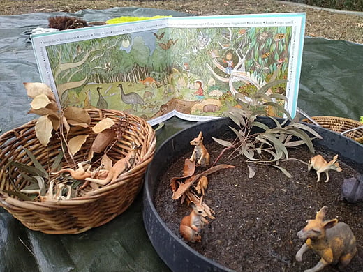 Bush Story Table