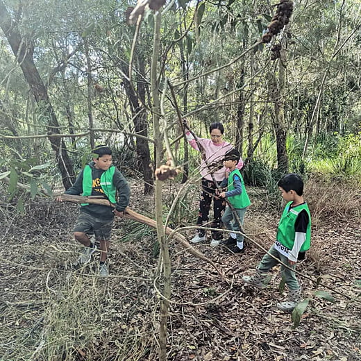 Exploring the Bush
