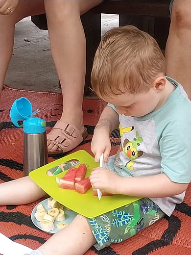 Focused Fine Motor