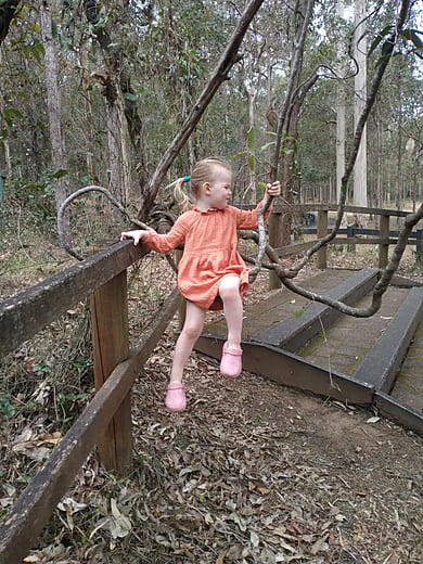 Vine Climb