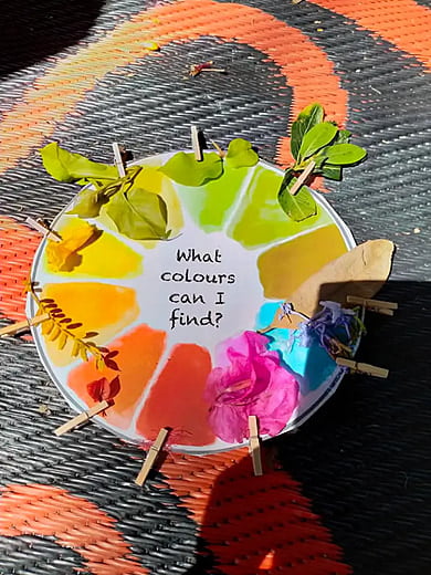 Colours Activity
