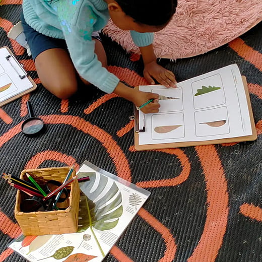 Drawing in Nature