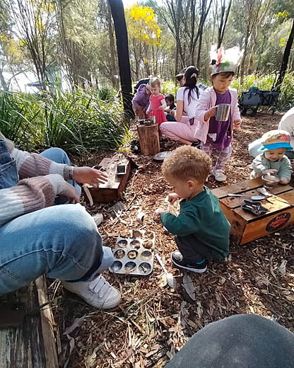Forest Floor Discovery